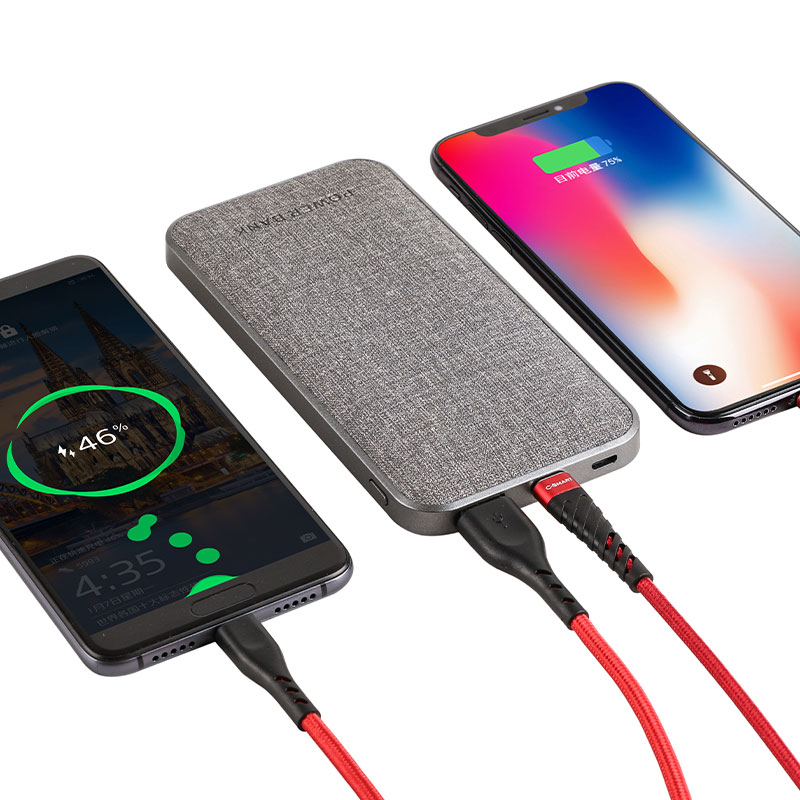 10000mAh Power Bank (4)